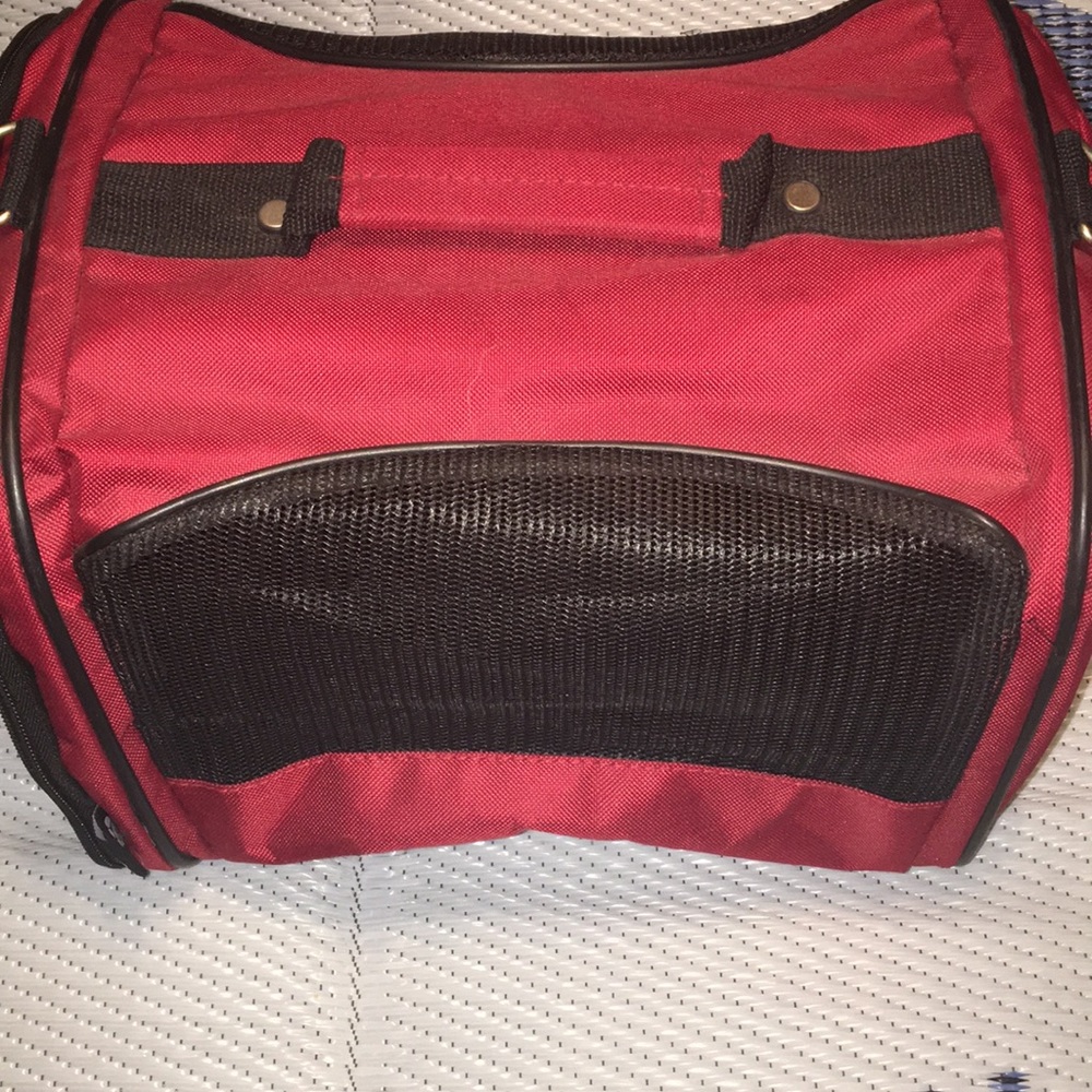 Small Animal Carrier